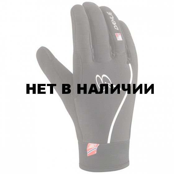 Перчатки беговые Bjorn Daehlie 2015-16 Glove New Rime 
