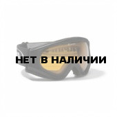 Очки горнолыжные Alpina Ethno DH black_DH S2