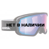 Очки горнолыжные Alpina SCARABEO HM black/white (black nurbs) (б/р:ONE SIZE)