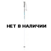 Горнолыжные палки Elan 2015-16 SP MAXX BLUE 