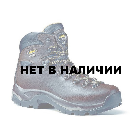 Ботинки для треккинга (Backpacking) Asolo BACKPACKING TPS 520 GV MM Chestnut