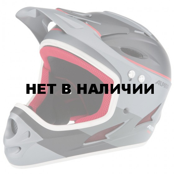 Зимний Шлем Alpina FULLFACE titanium-red