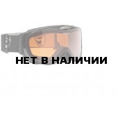 Очки горнолыжные Alpina Challenge 2.0 DH black transparent_DH S2