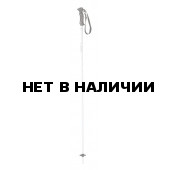 Горнолыжные палки Elan 2015-16 SP SNOW 