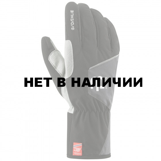 Перчатки беговые Bjorn Daehlie 2016-17 Glove TRACK Black 