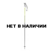 Горнолыжные палки Elan 2015-16 SP SPEED GREEN 