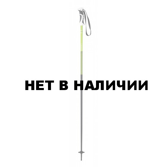 Горнолыжные палки Elan 2015-16 SP SPEED GREEN 
