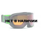 Очки горнолыжные Alpina FREESPIRIT DH black_DH S2