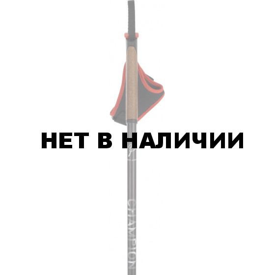 Лыжные палки Bjorn Daehlie XC pole CHAMPION BLACK