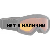 Очки горнолыжные Alpina CARAT DH black DH S2 / DH S2 (6-9 лет)