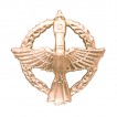 Эмблема петличная Космические войска повседневная металл