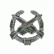 Эмблема петличная Мотострелковые войска полевая полиамид