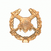 Эмблема петличная Пограничные войска повседневная металл