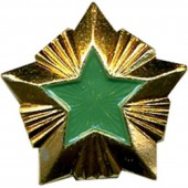 Знак различия Звезда Росприроднадзор большая металл