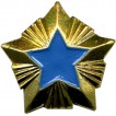 Знак различия Звезда Ространснадзор большая металл