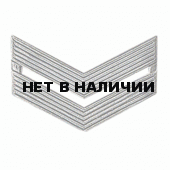 Знак различия ВС младший сержант полевой металл