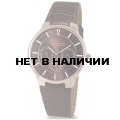 Наручные часы мужские Skagen 331XLRLD