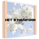 Настенные часы Олимп ЕГ-010 Бук