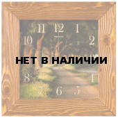 Настенные часы Салют ДС-4АС27-110