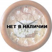 Настенные часы Салют ДС-ББ28-369