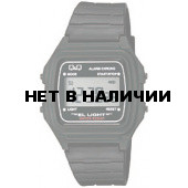 Мужские наручные часы Q&Q L116-003