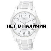 Мужские наручные часы Q&Q Q206-204