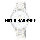 Мужские наручные часы Q&Q Q270-401