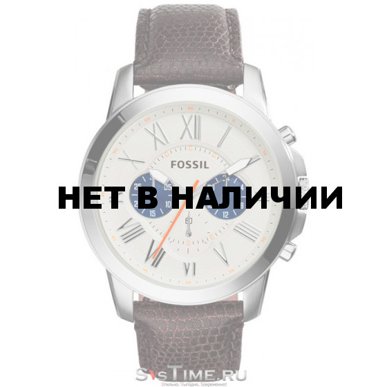 Мужские наручные часы Fossil FS5021
