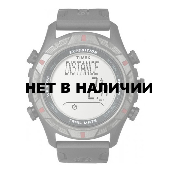 Мужские наручные часы Timex T49845