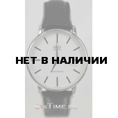 Мужские наручные часы Q&Q Q854-301