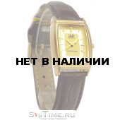 Мужские наручные часы Q&Q Q881-100