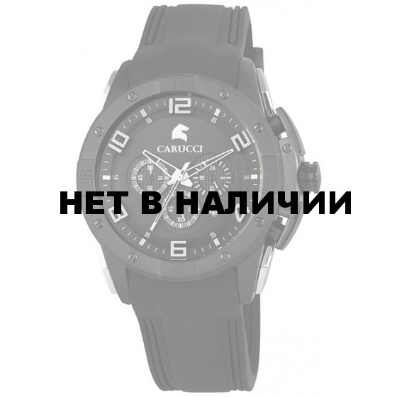 Наручные часы мужские Carucci CA2214BK