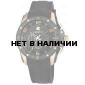 Наручные часы мужские Carucci CA2214BK-RG