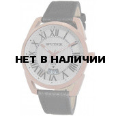 Мужские наручные часы Спутник М-400560/8 (сталь)
