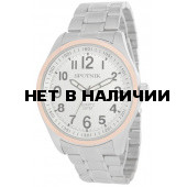 Мужские наручные часы Спутник М-996440/6 (сталь)
