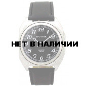 Мужские наручные часы Спутник М-857920/1 (черн.)