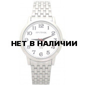 Мужские наручные часы Спутник М-996062/1 (сталь)