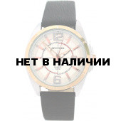Мужские наручные часы Спутник М-400570/6 (сталь)