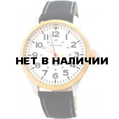Мужские наручные часы Спутник М-857980/6 (сталь)