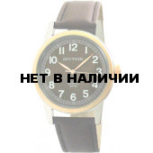 Мужские наручные часы Спутник М-858030/6 (корич.)
