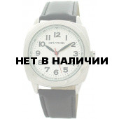 Мужские наручные часы Спутник М-858060/1 (сталь)