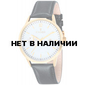 Наручные часы мужские Fjord FJ-3001-03