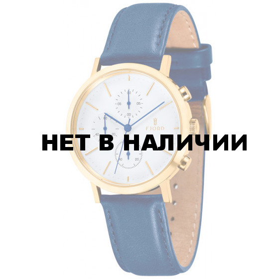 Наручные часы мужские Fjord FJ-3021-01