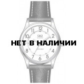 Мужские наручные часы Q&Q Q928-304