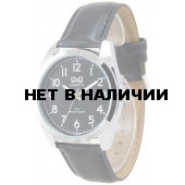 Наручные часы мужские Q&Q C216-804