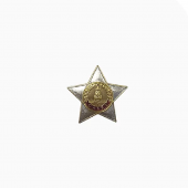 Значок «Орден Славы»