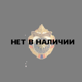 Нагрудный знак «Спасатель МЧС России»