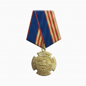 Нагрудный знак «Участнику Парада Кадет» 2016 (медаль)