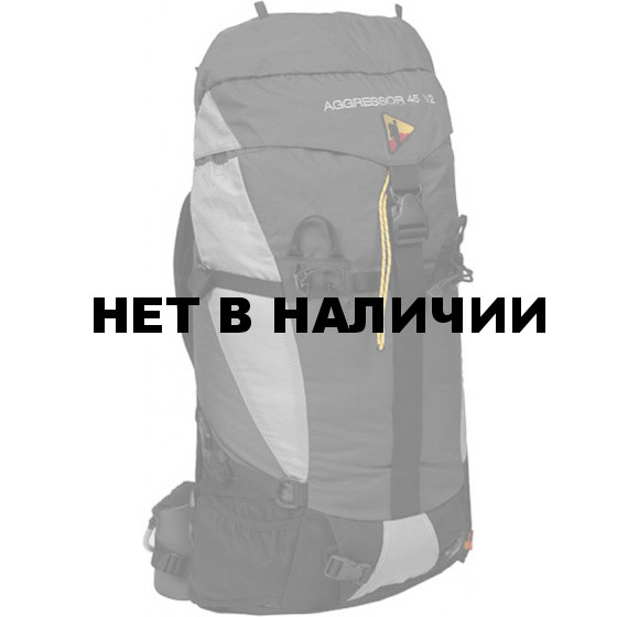 Рюкзак BASK AGGRESSOR 45 V2 серый тмн/серый свтл