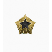 Знак различия Звезда Росстройнадзор малая металл